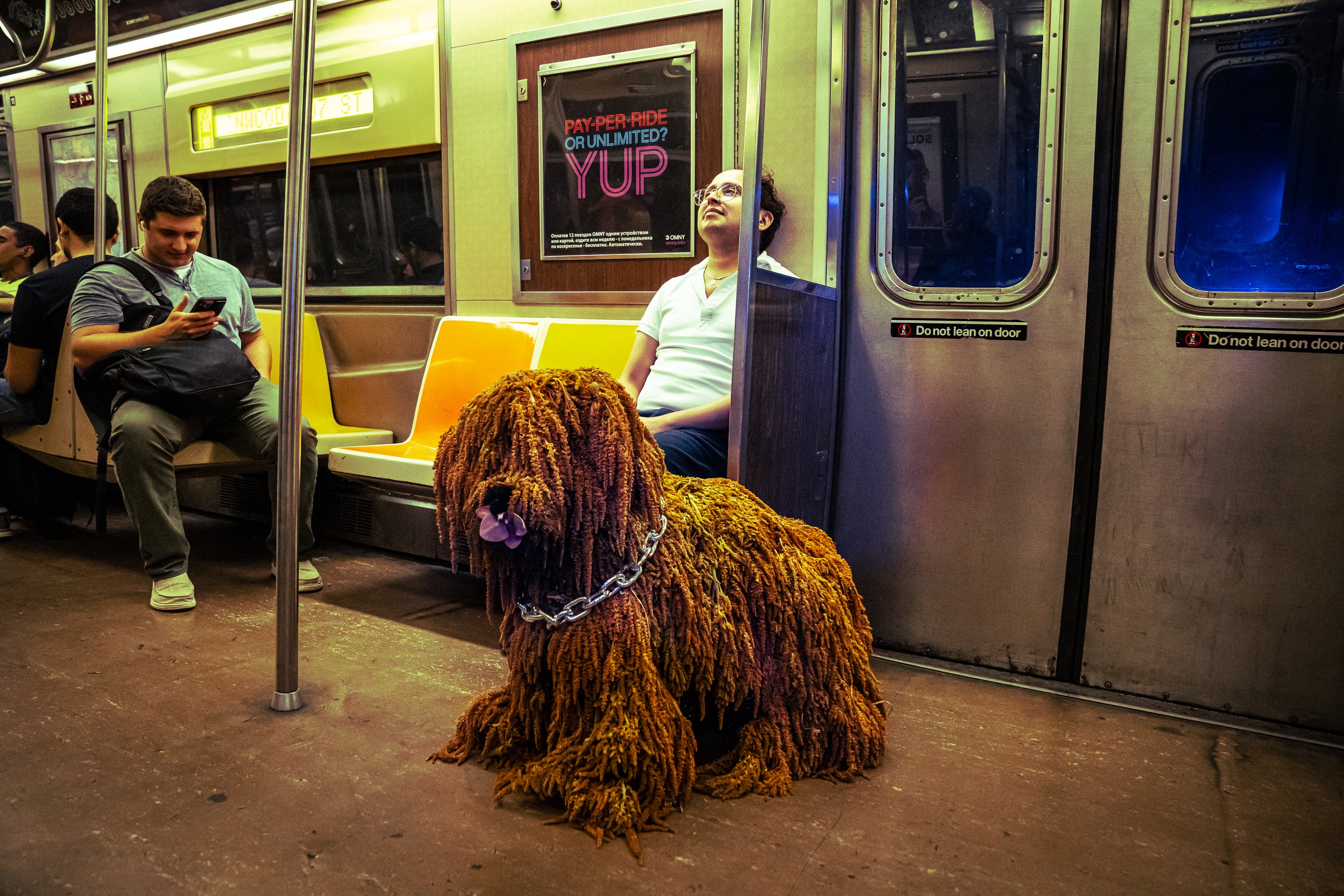 New York City - Subway Puppy